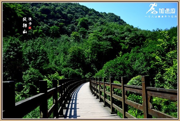 成都周邊適合徒步的團(tuán)建地方：鳳棲山