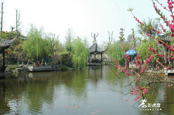 成都適合團(tuán)建的地方有哪些？華陽西蜀人家就不錯(cuò)