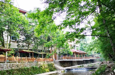 成都周邊適合兩天團(tuán)建的地方，崇州領(lǐng)航創(chuàng)贏基地，夏天避暑超涼快