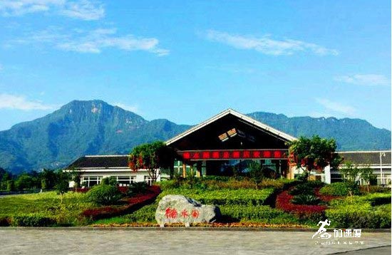 成都周邊兩日游團(tuán)建，雅安周公山溫泉看碧峰峽熊貓